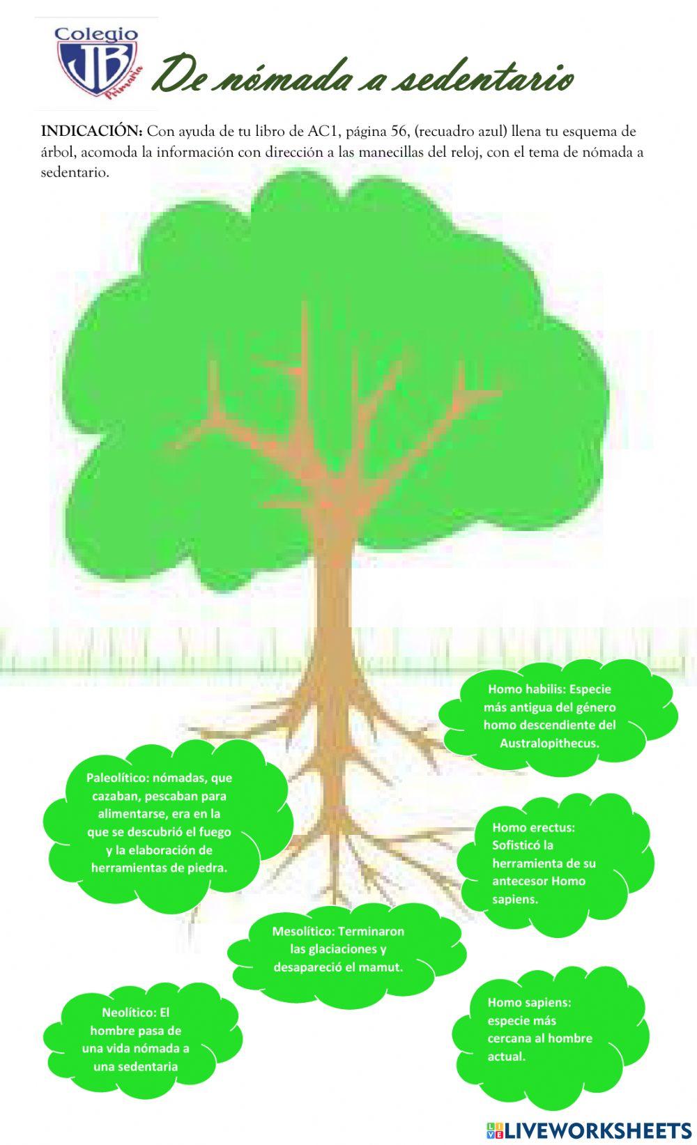 De nómada a seentario