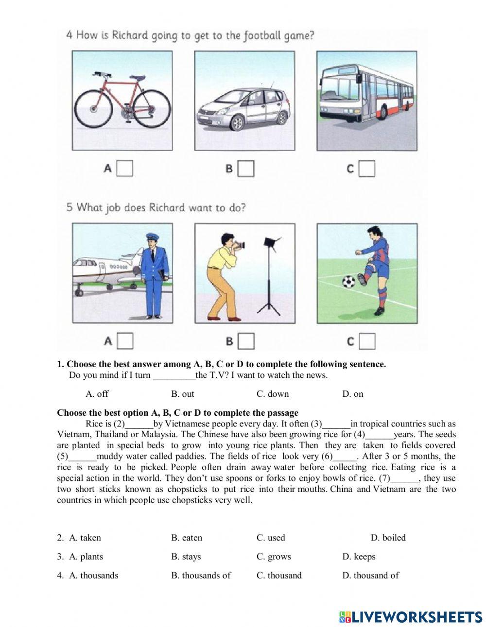 Test -midterm semester 1