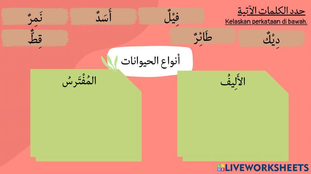 رفقا بالحيوانات