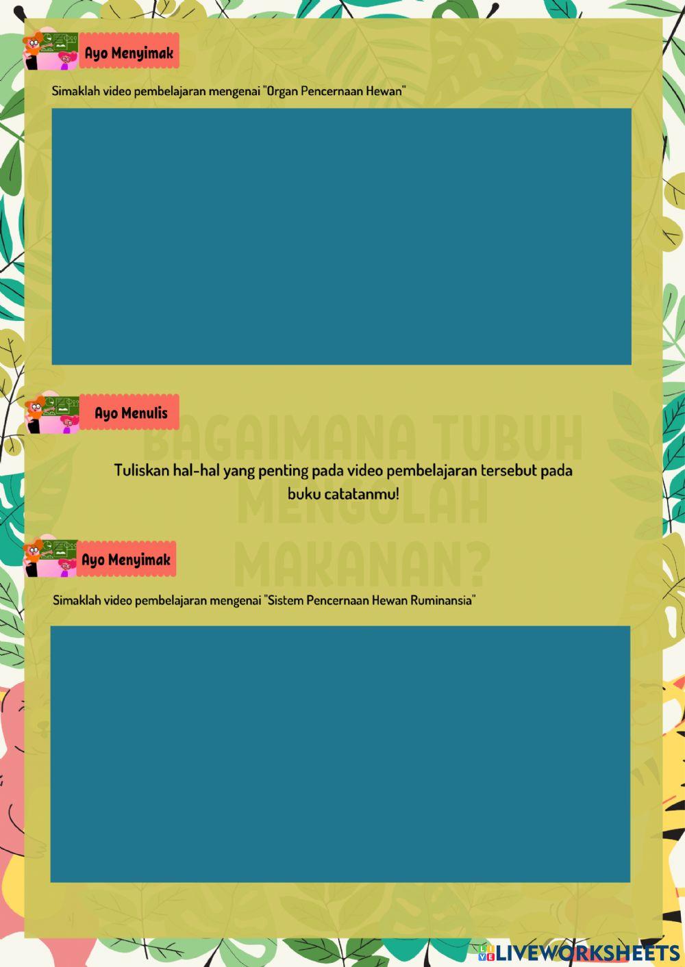 Organ Pencernaan Hewan