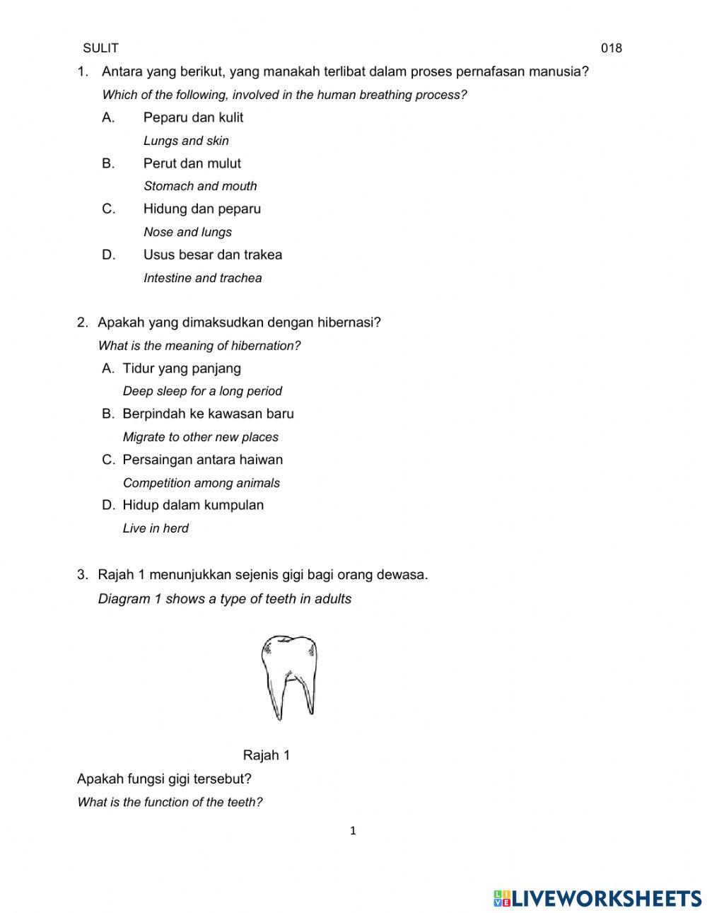 Y6 Kertas 1 Bahagian 1