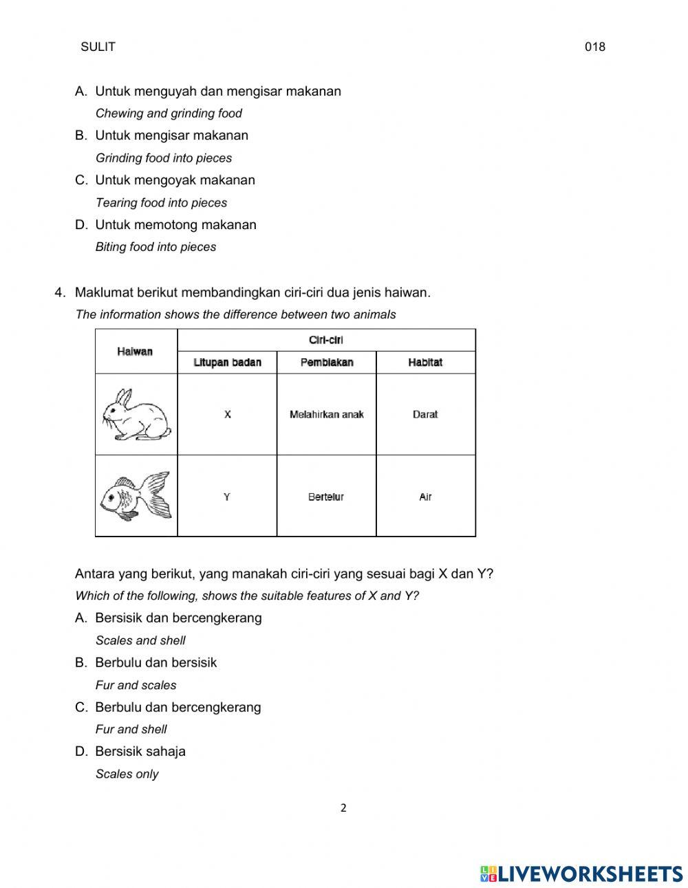 Y6 Kertas 1 Bahagian 1