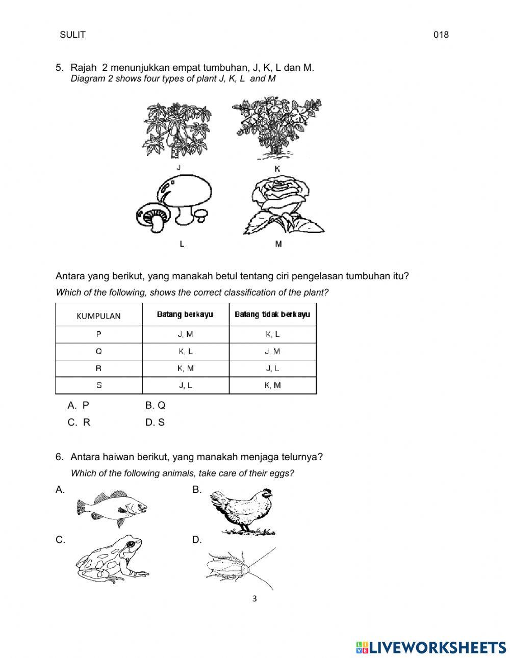 Y6 Kertas 1 Bahagian 1