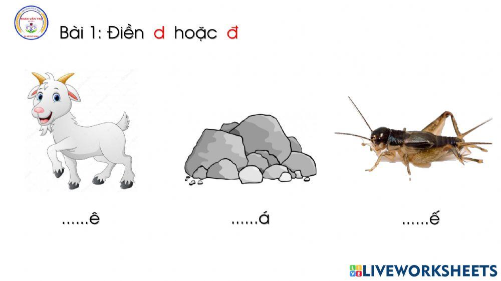 Bài tập thực hành - Tuần 3