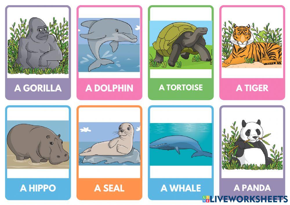 Animals in danger - Vocabulary