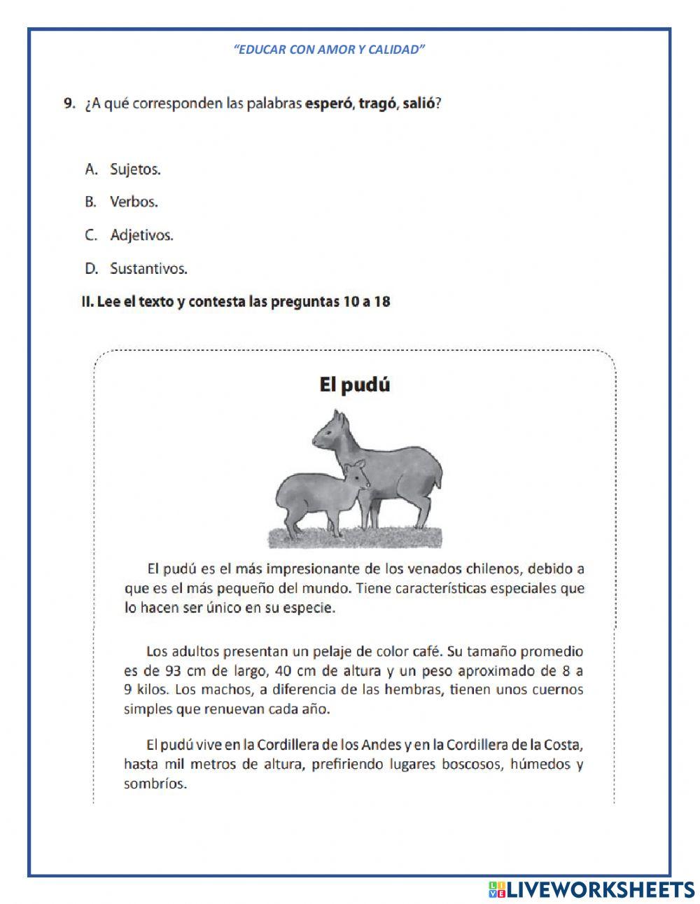 Comprensión lectoras