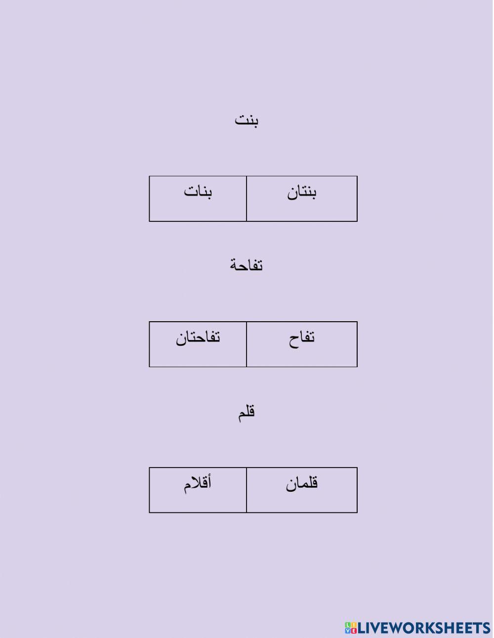 المفرد والمثنى