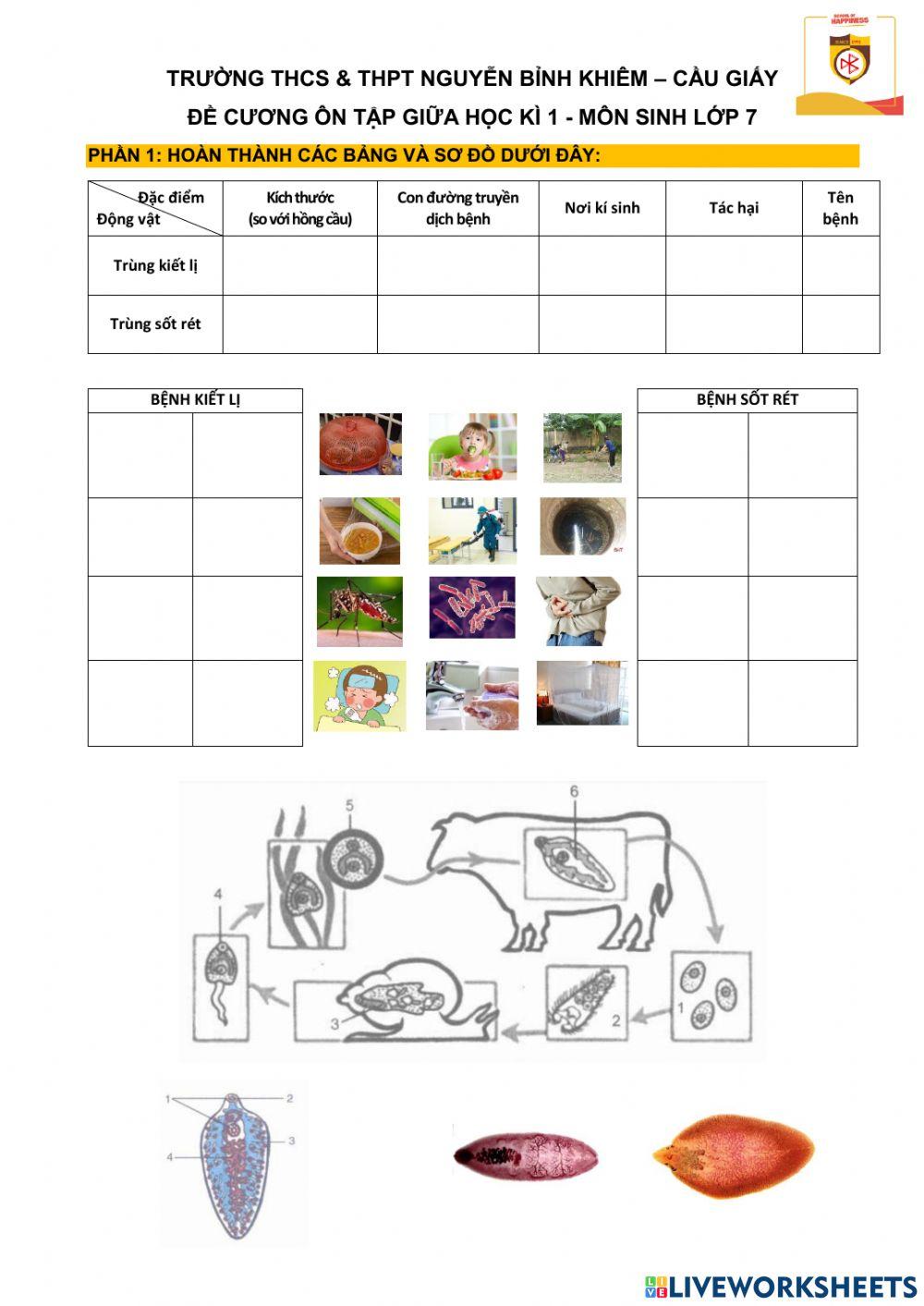 Ôn tập giữa học kì 1
