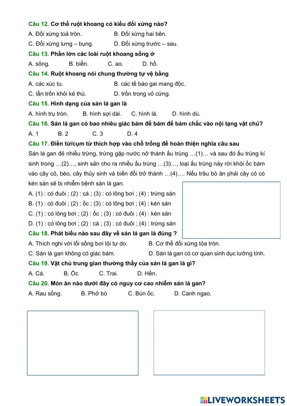 Ôn tập giữa học kì 1