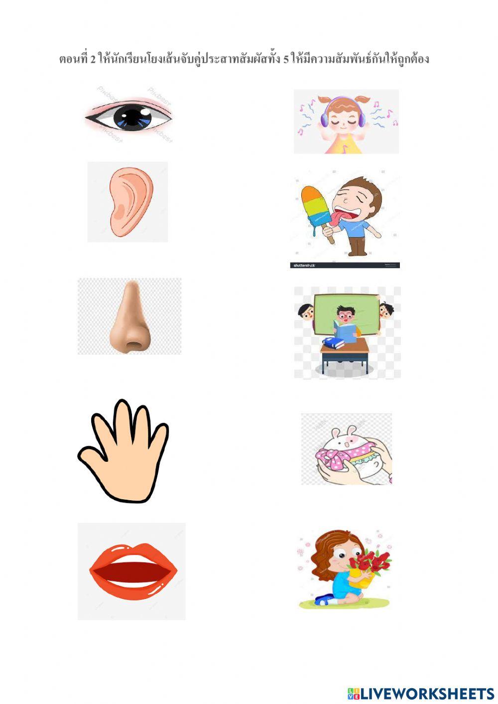 ข้อสอบวิทยาศาสตร์