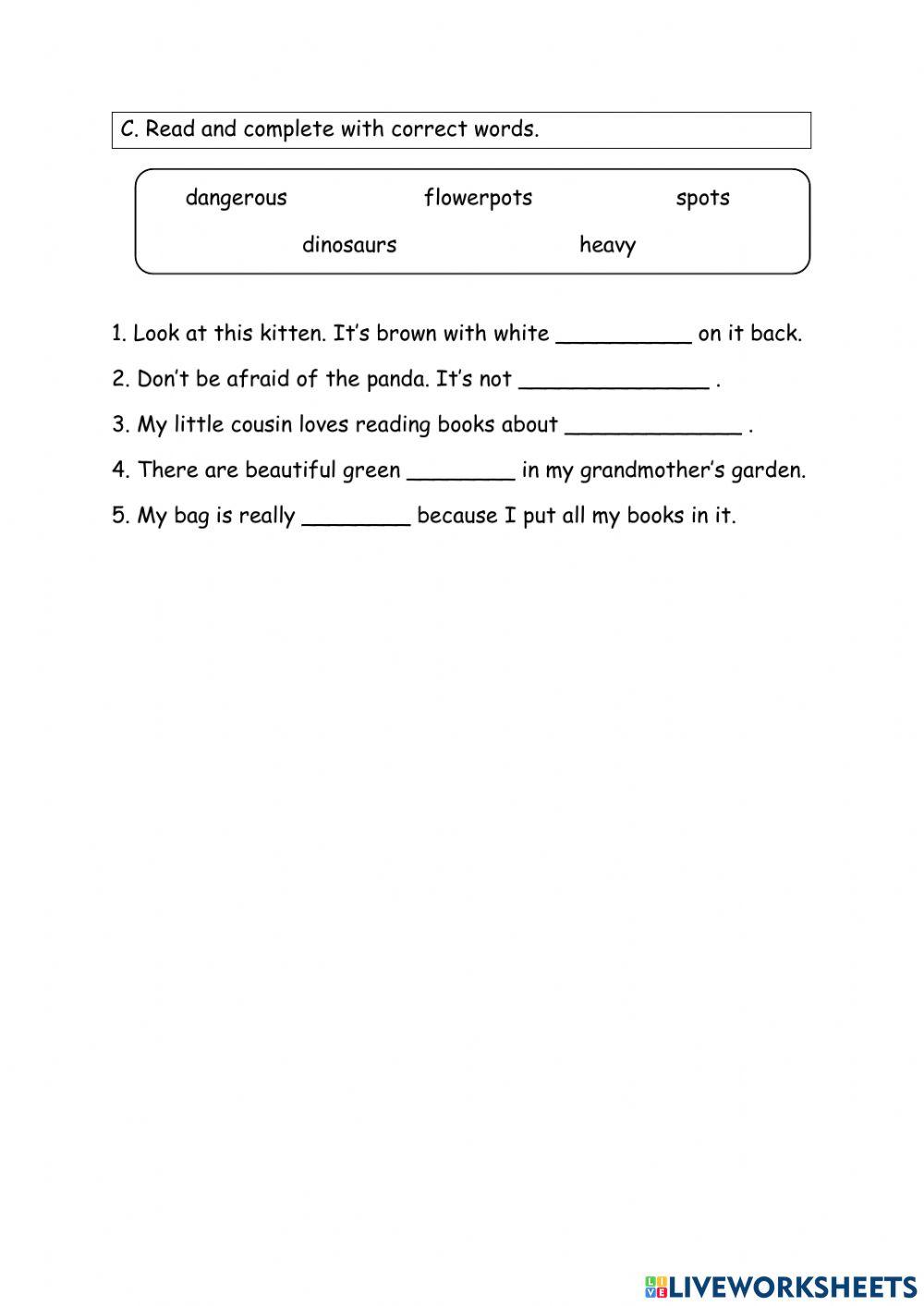 Year 4 Unit 8 Amazing Animals Review