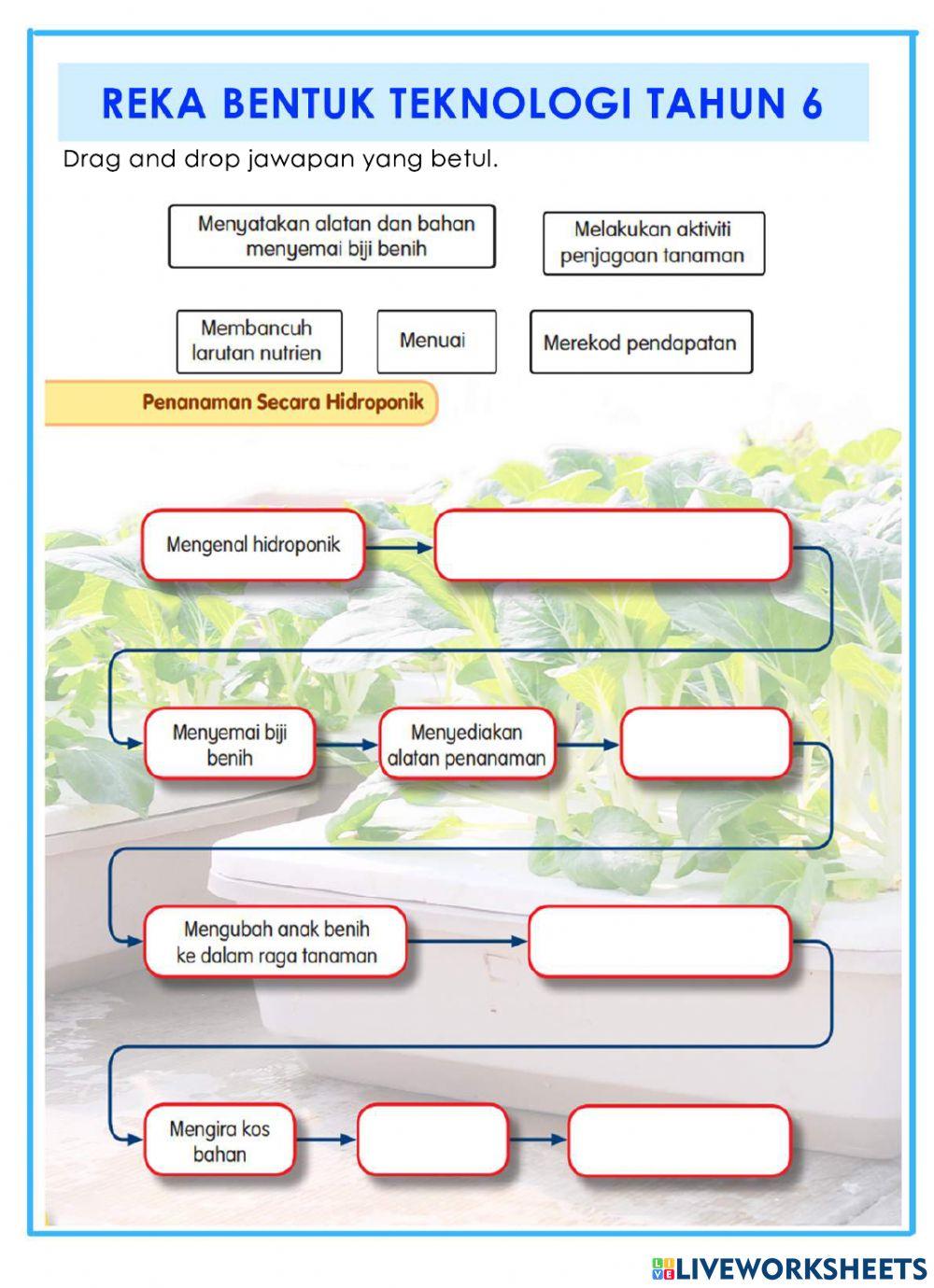 Teknologi Pertanian Hidroponik Tahun 6
