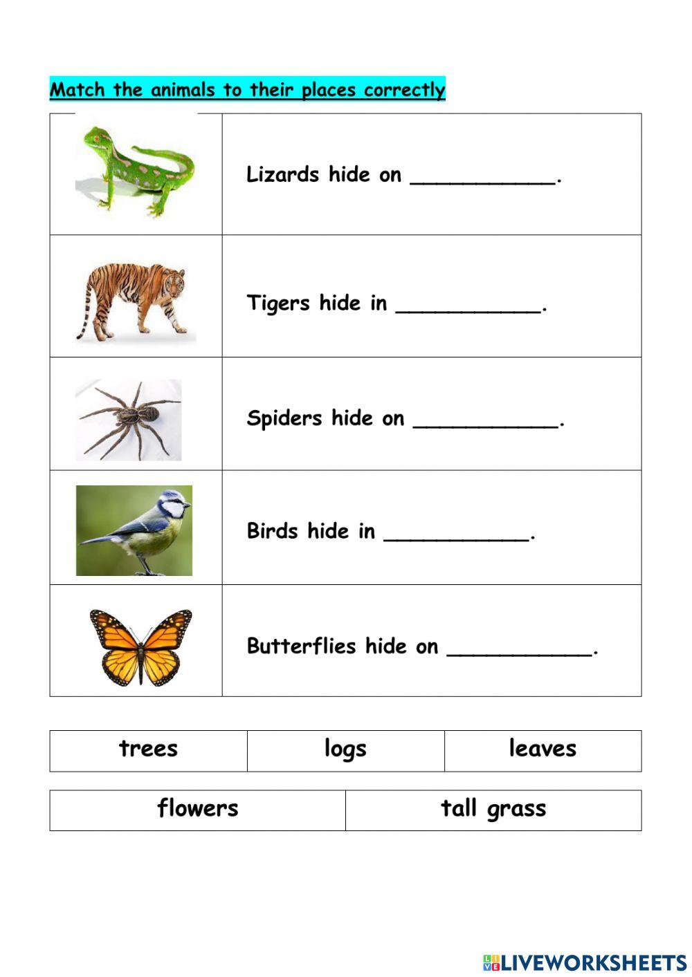 Where do animals hide