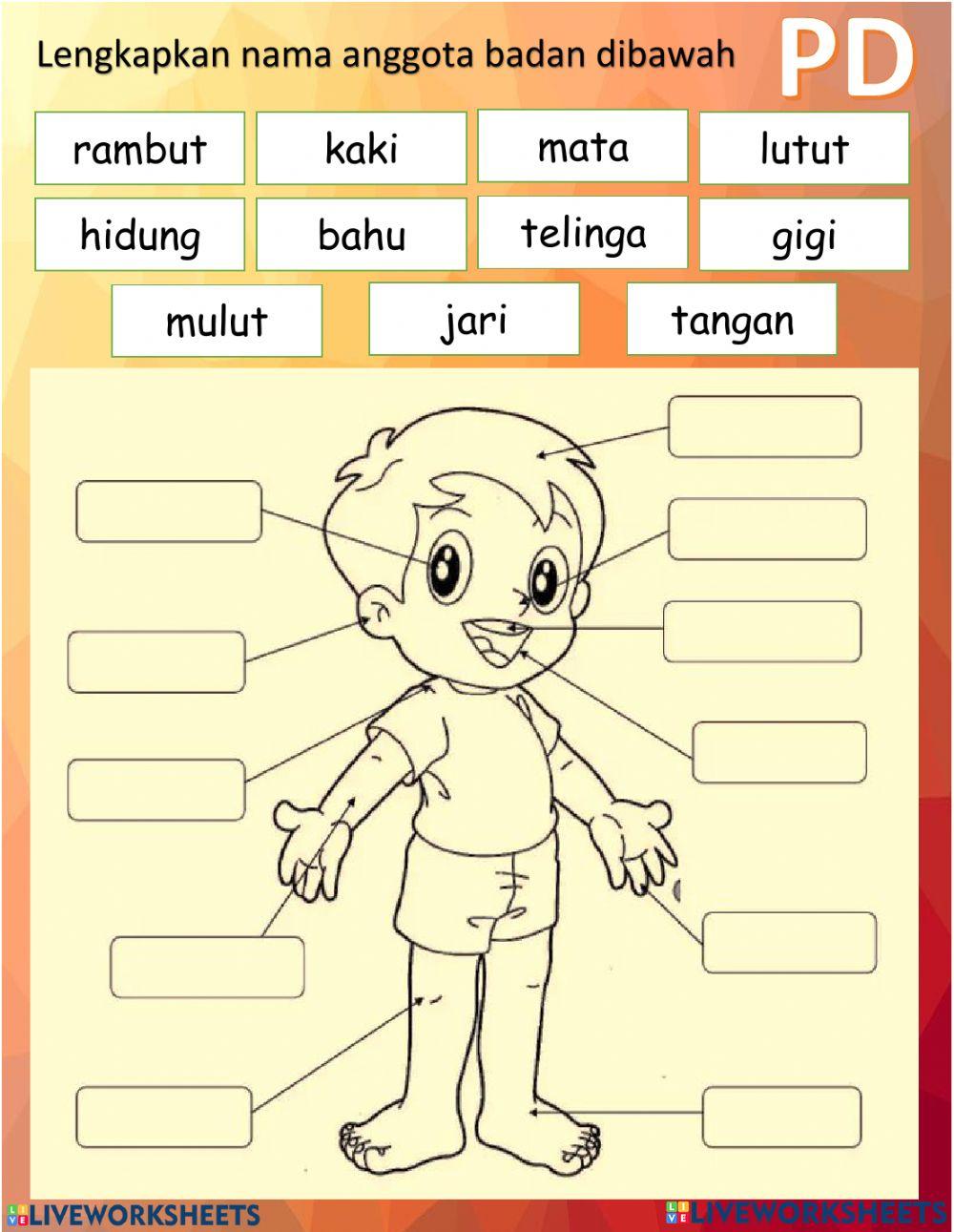 Pengurusan Diri:Mengenal Anggota Badan