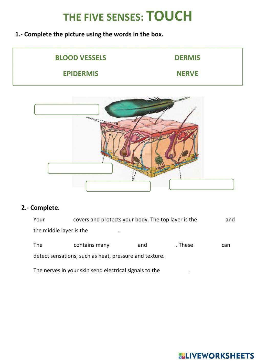 The five senses: touch.