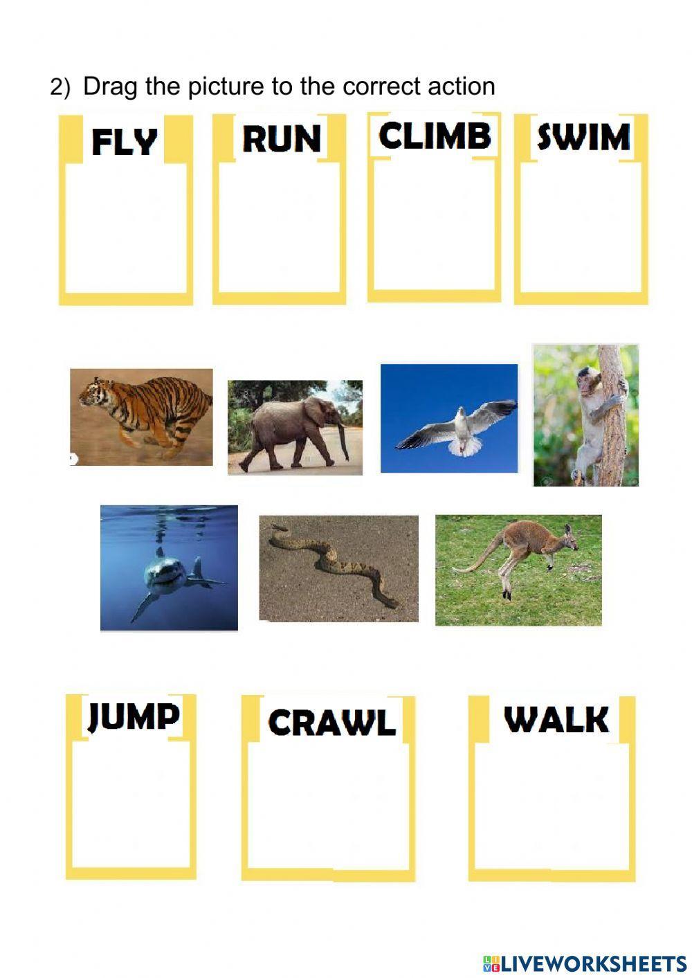 Wild animals and actions
