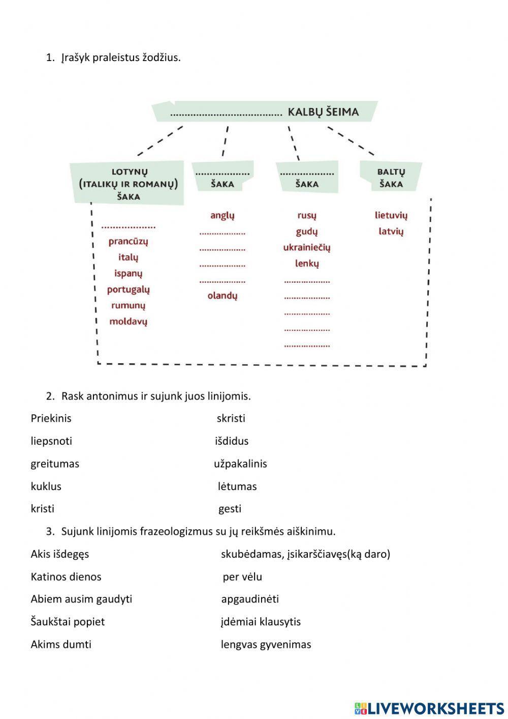 Indoeuropiečių kalbos, antonimai , sinonimai