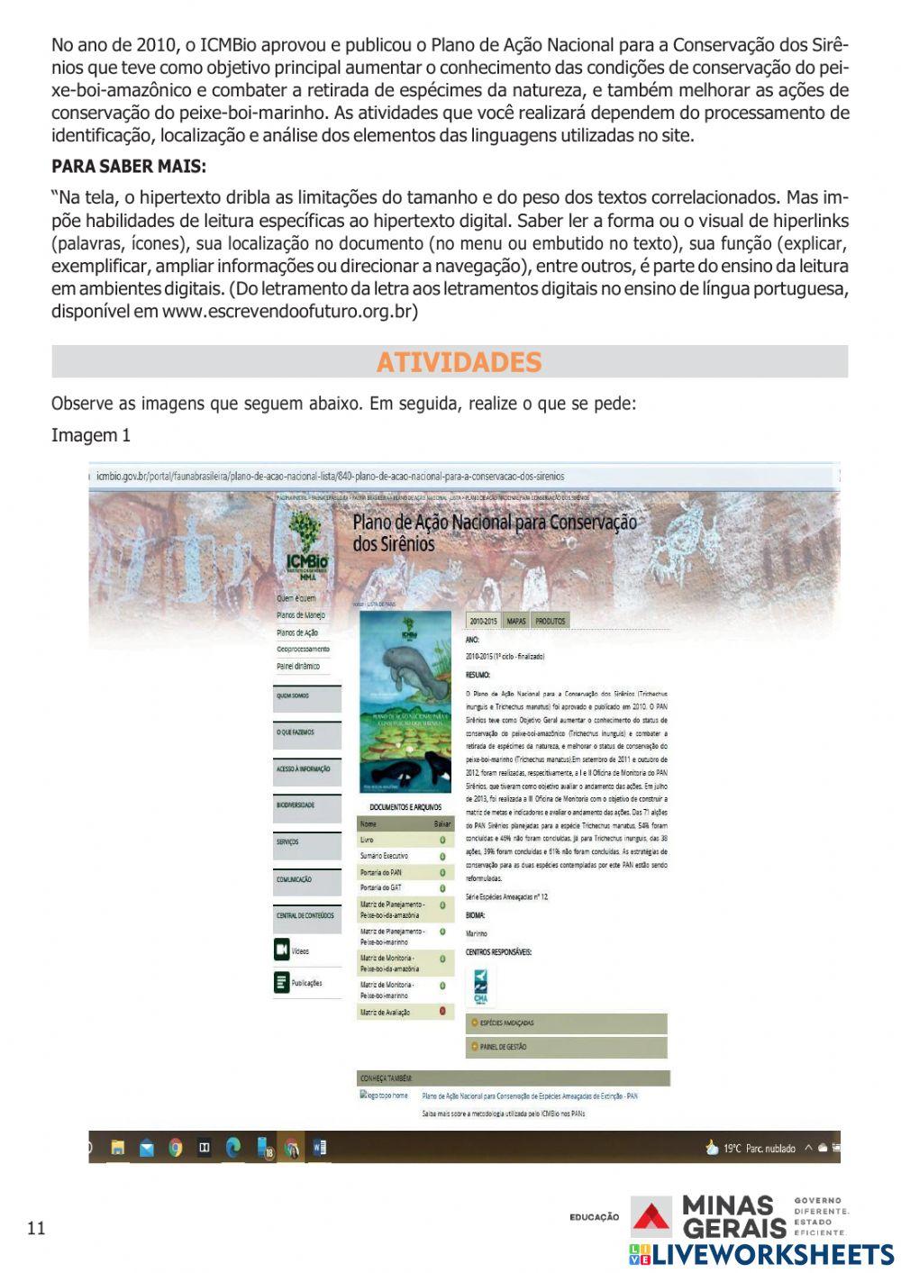 Pet 6º ano - semana 3