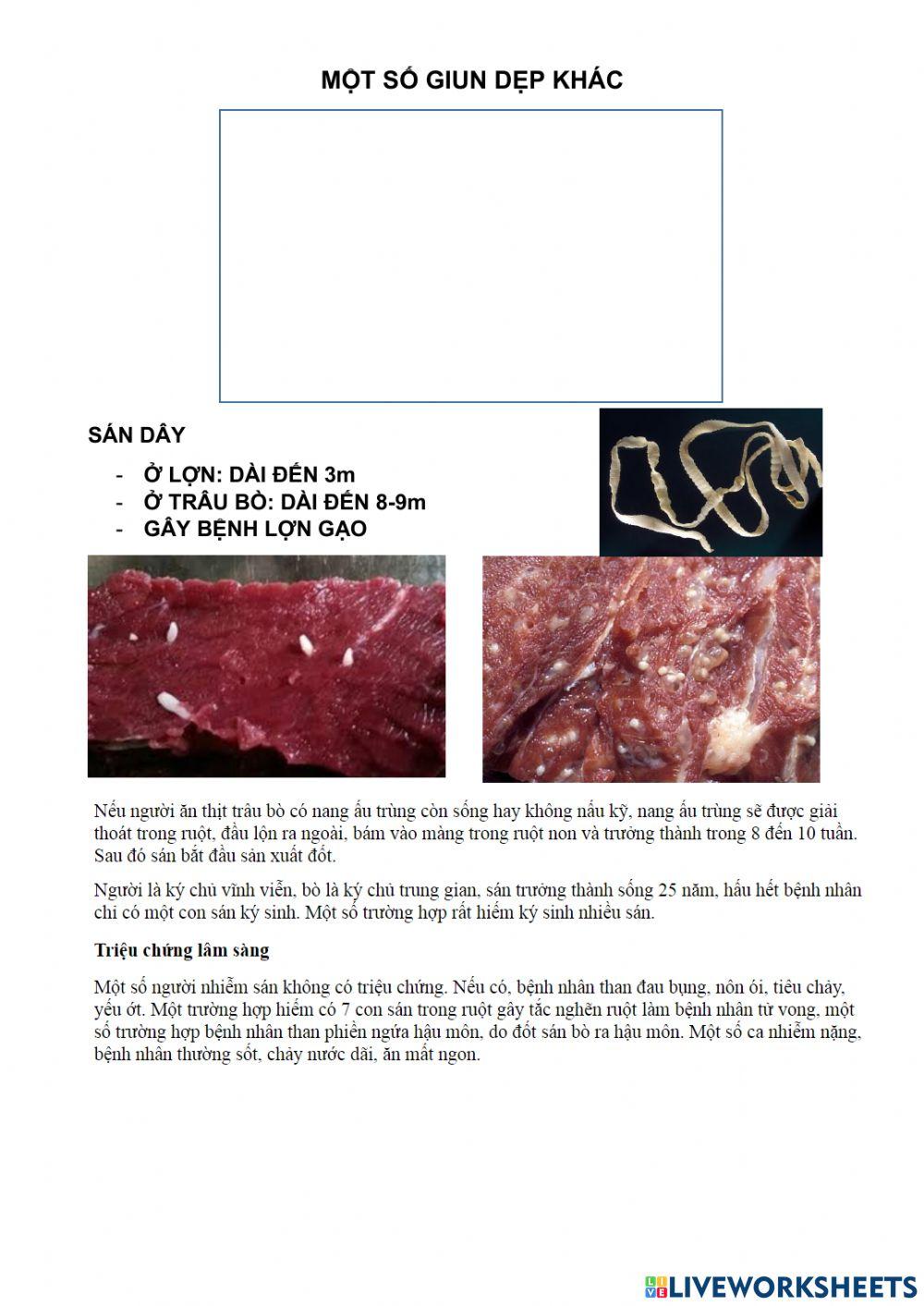 Bài 12. một số giun dẹp khác