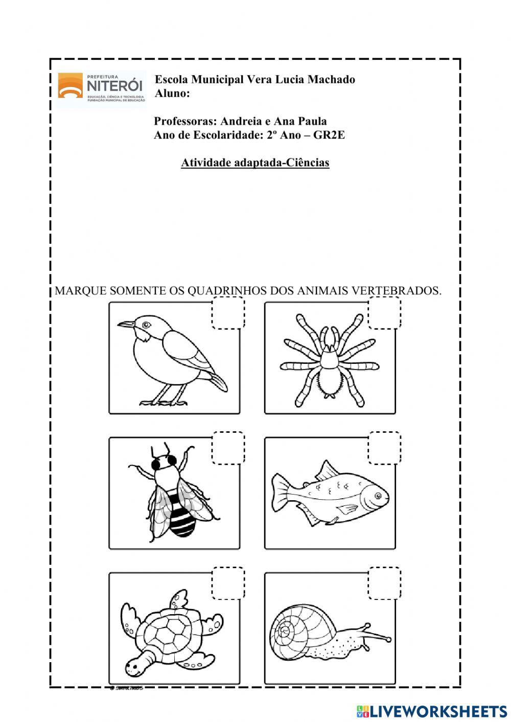 Animais vertebrados e invertebrados