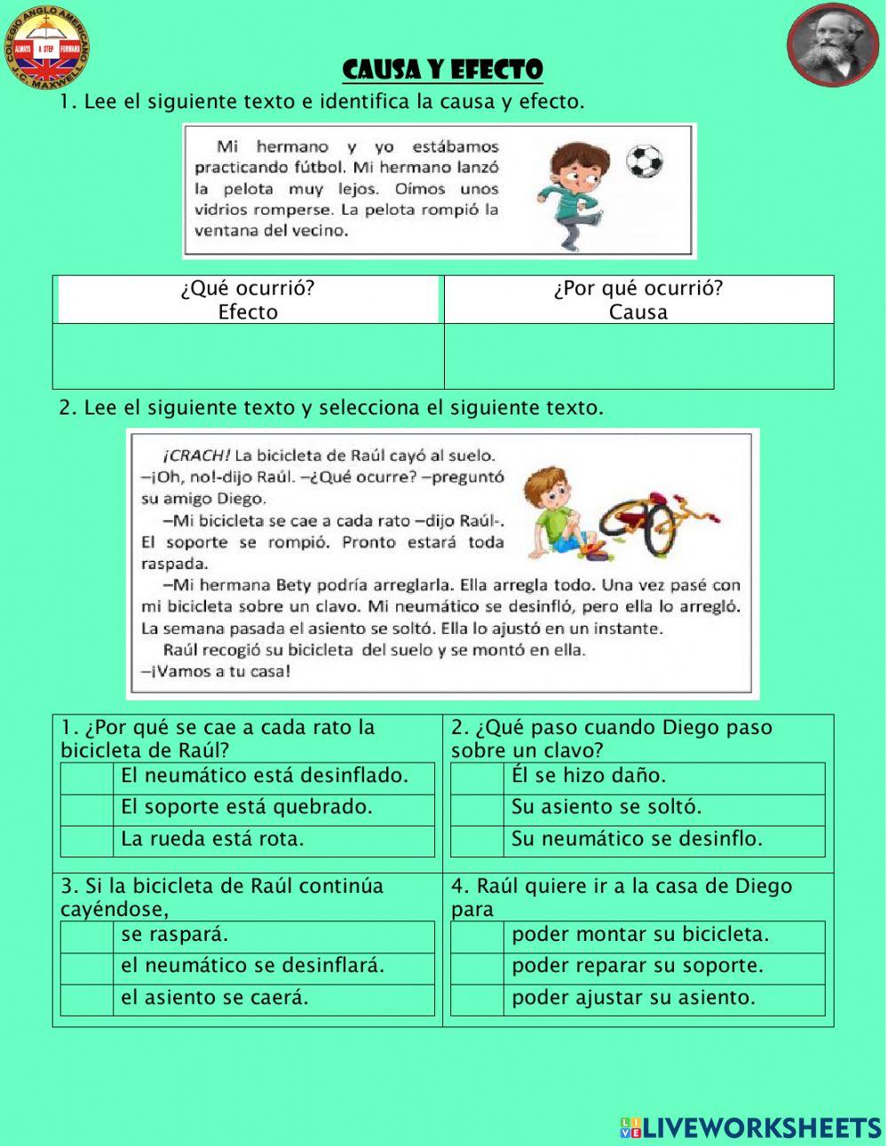 Plan de redacción y causa en efecto.