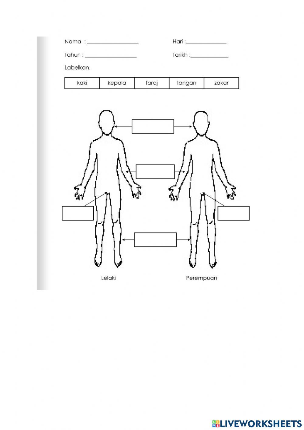 Kesihatan dan reproduktif