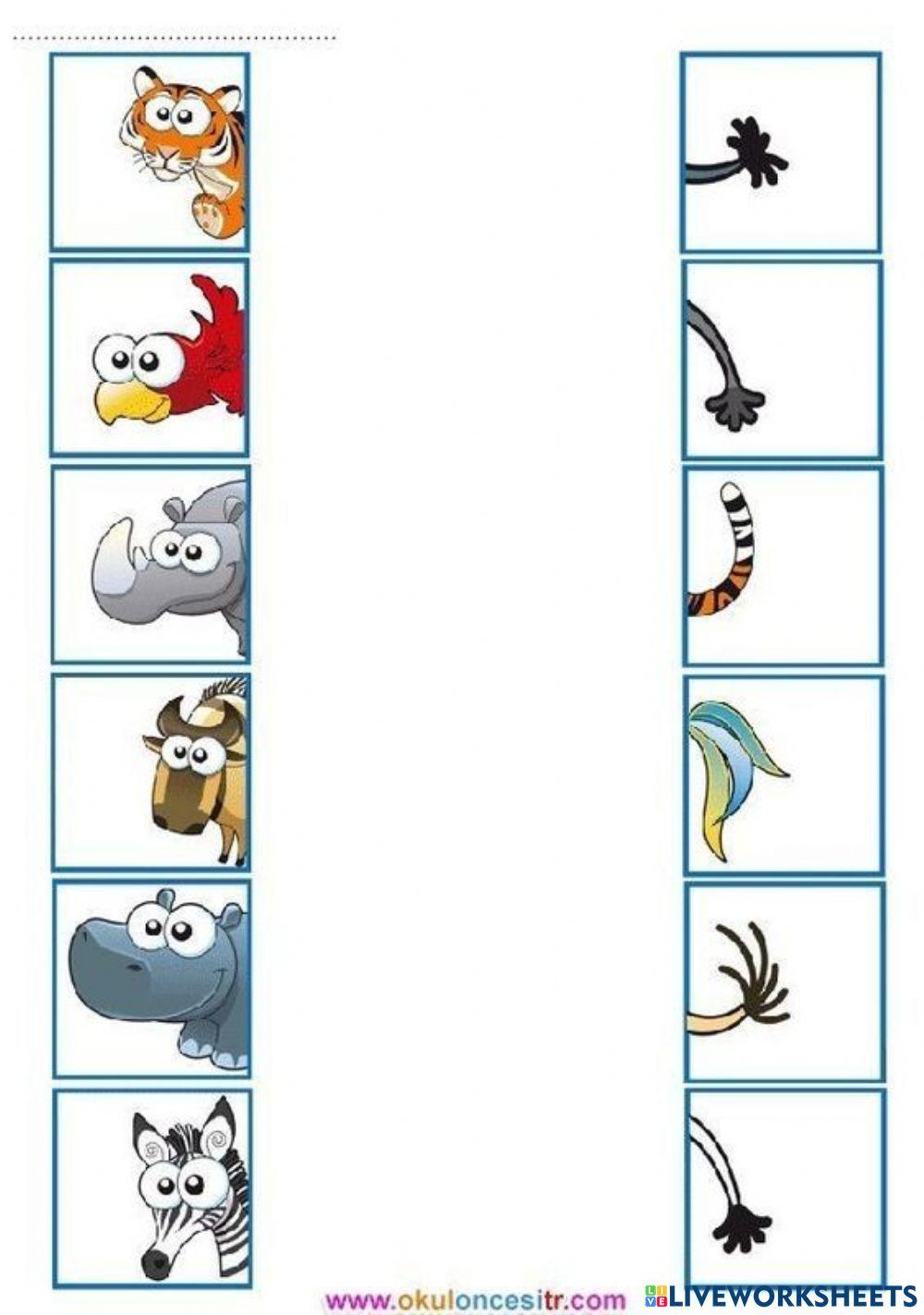 Tìm đuôi cho các con vật.