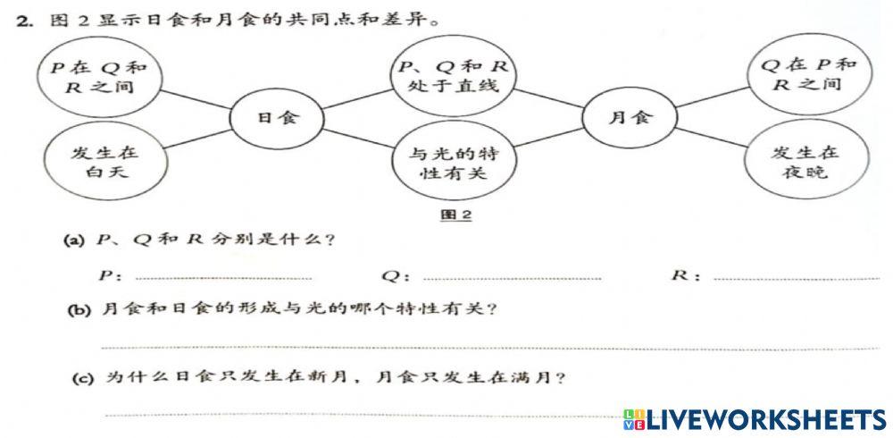 科学 科学