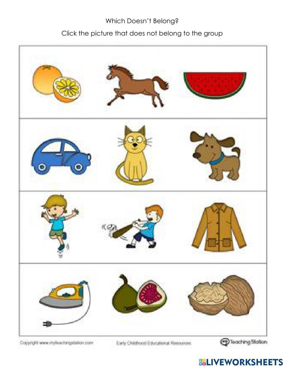 Does not belong gto the group worksheet live worksheets