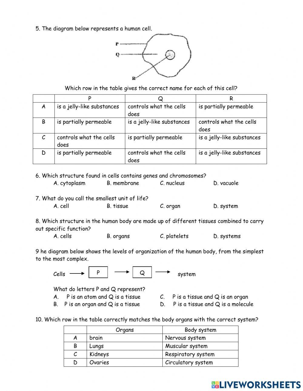 Living things and cells