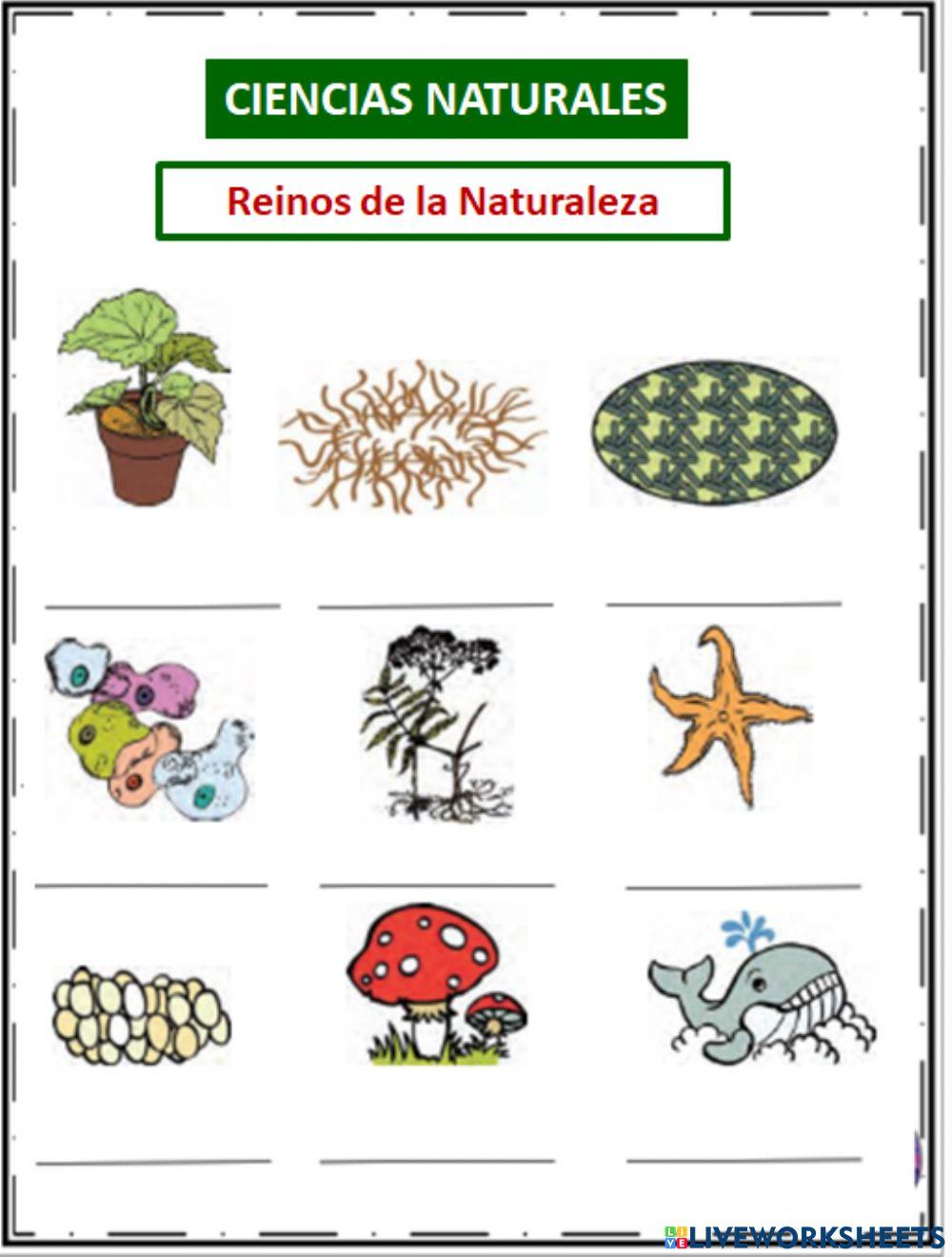 Reinos de la Naturaleza
