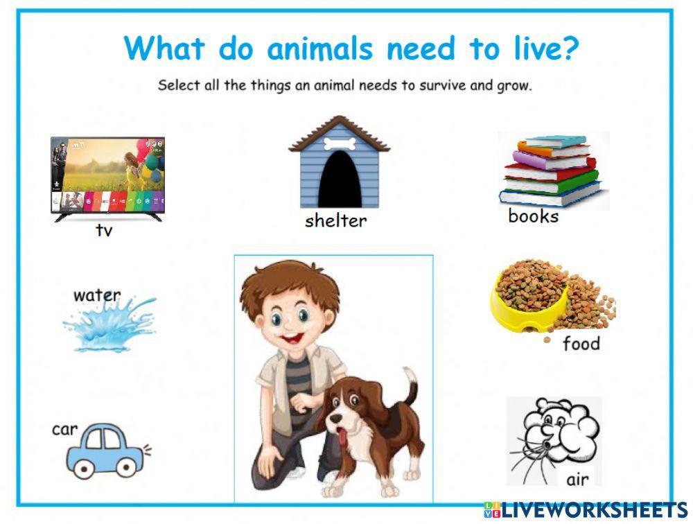 1495973 Animals Need MissKarlaS LiveWorksheets 1495973-animals-need-misskarlas-liveworksheets