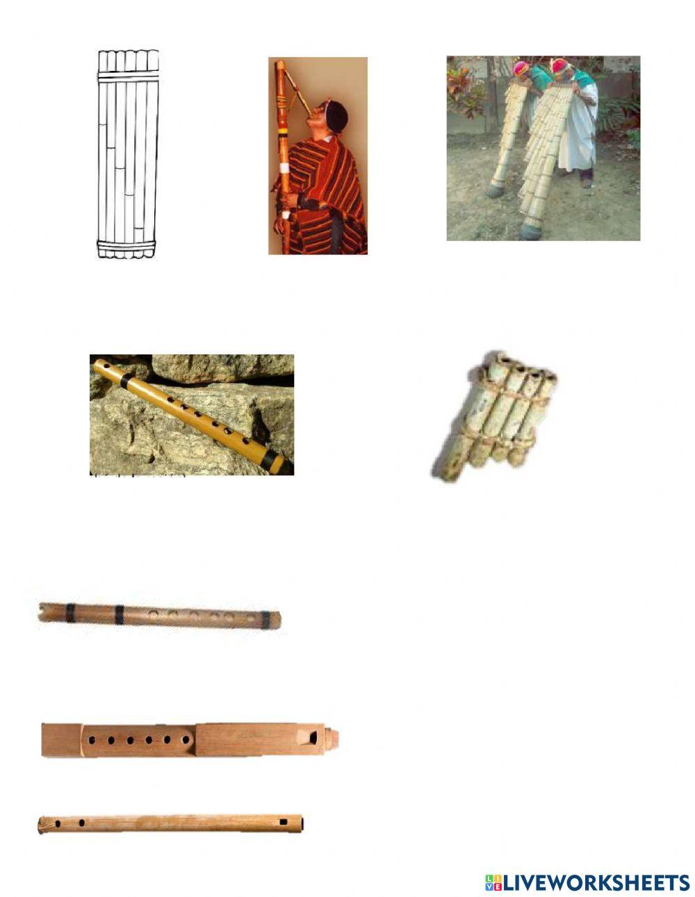 Instrumentos aerofonos bolivia