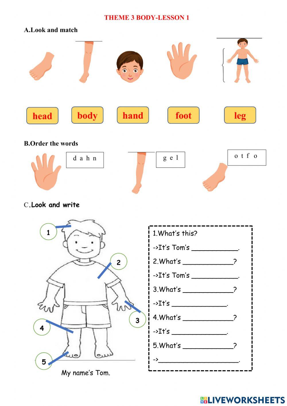 Theme 3 body-lesson 1