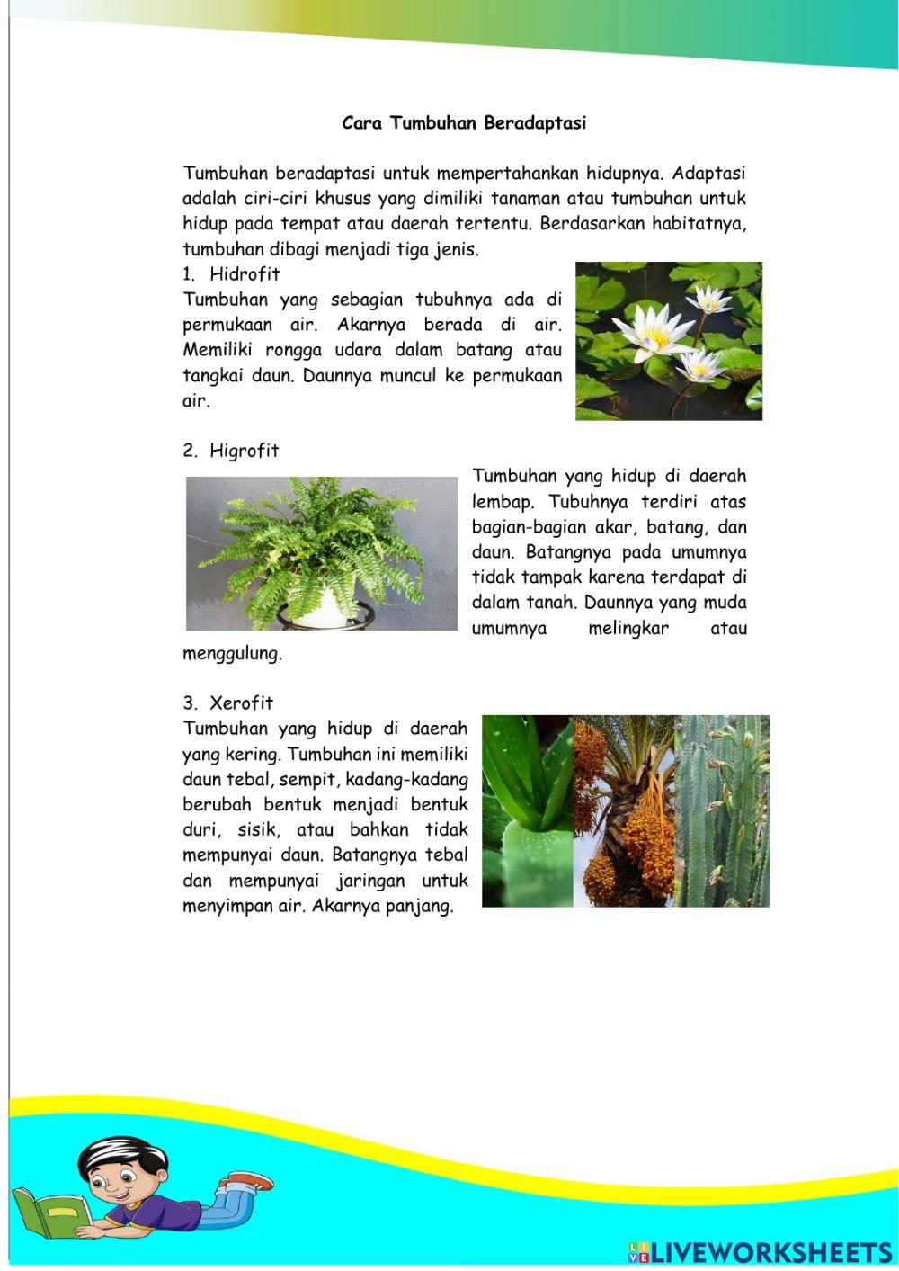 LKPD Kelas 6 Tema 2 ST 2 PB 3