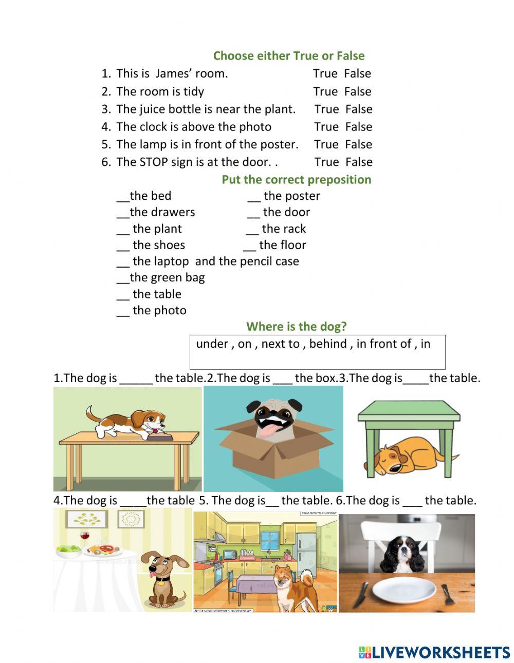 Prepositions of place