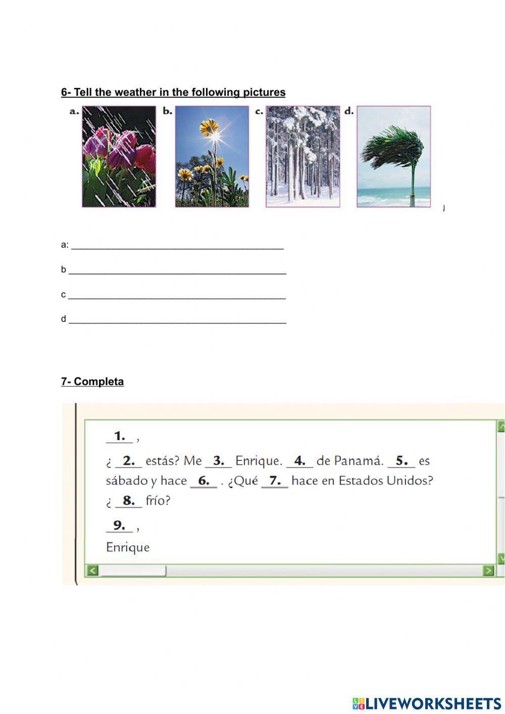 Avanza test lección preliminar