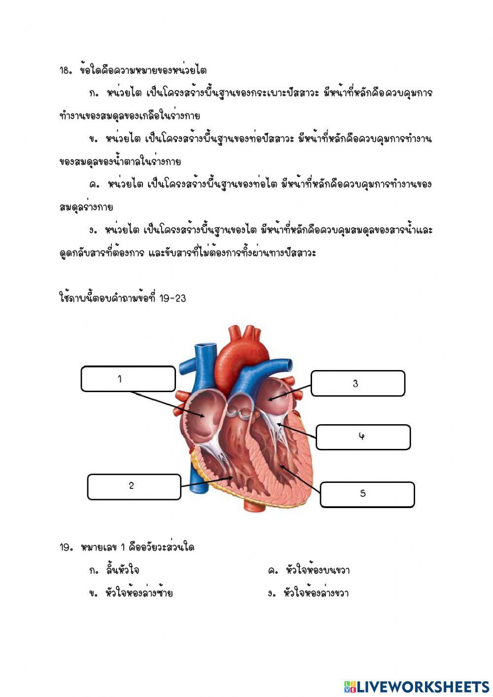 ข้อสอบเก็บคะแแนน