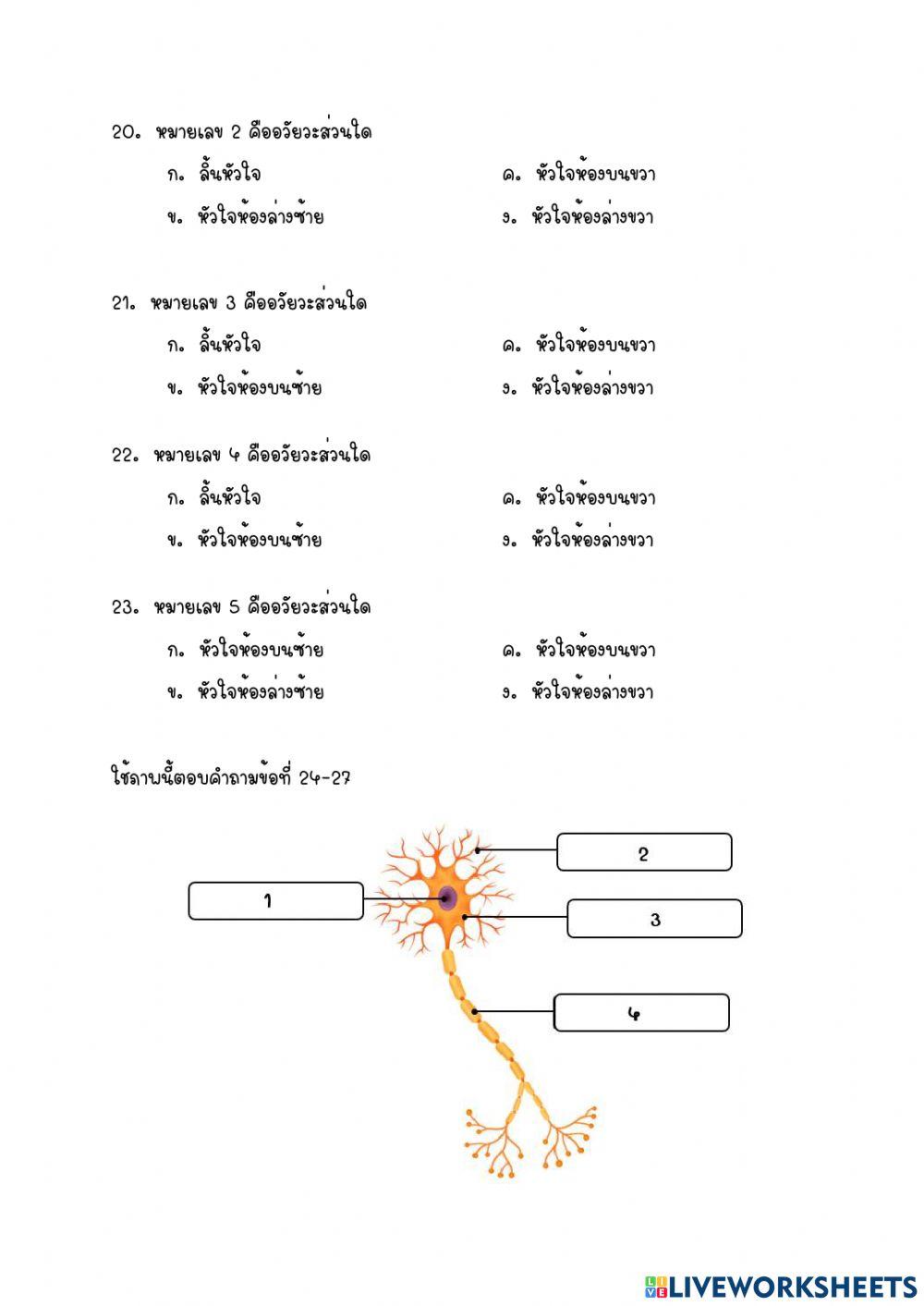 ข้อสอบเก็บคะแแนน
