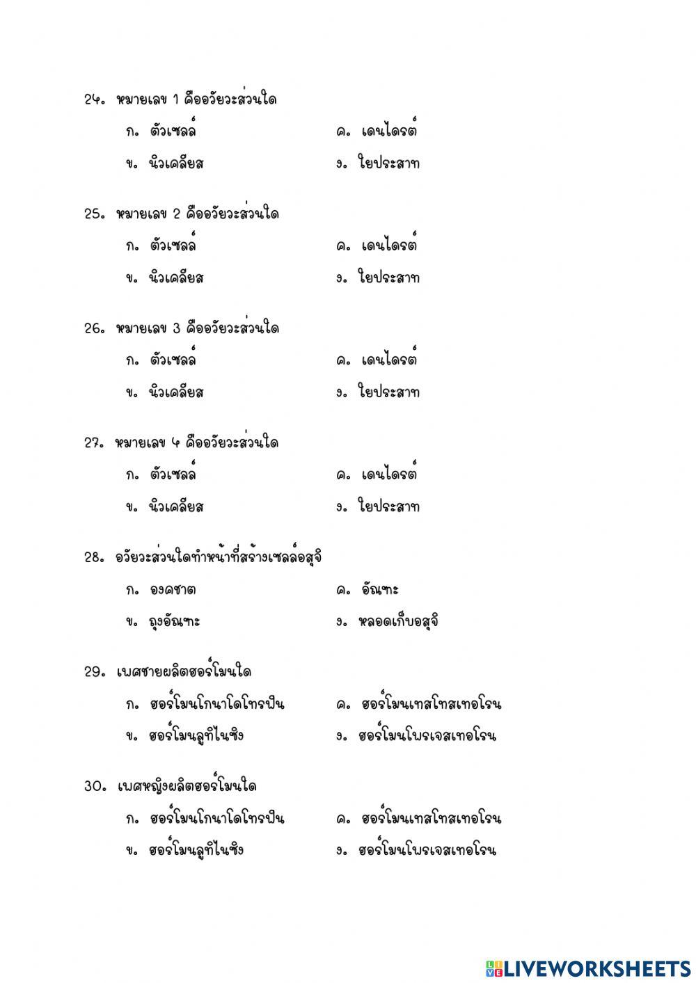 ข้อสอบเก็บคะแแนน