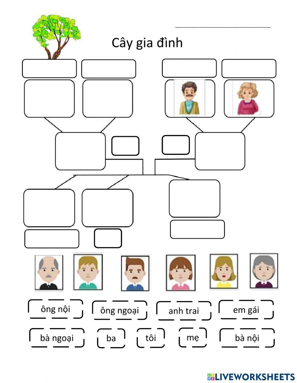 Sơ đồ gia đình