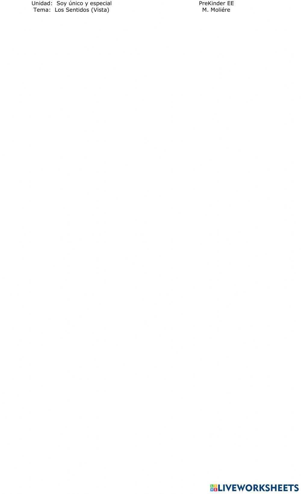 Los sentidos Visión