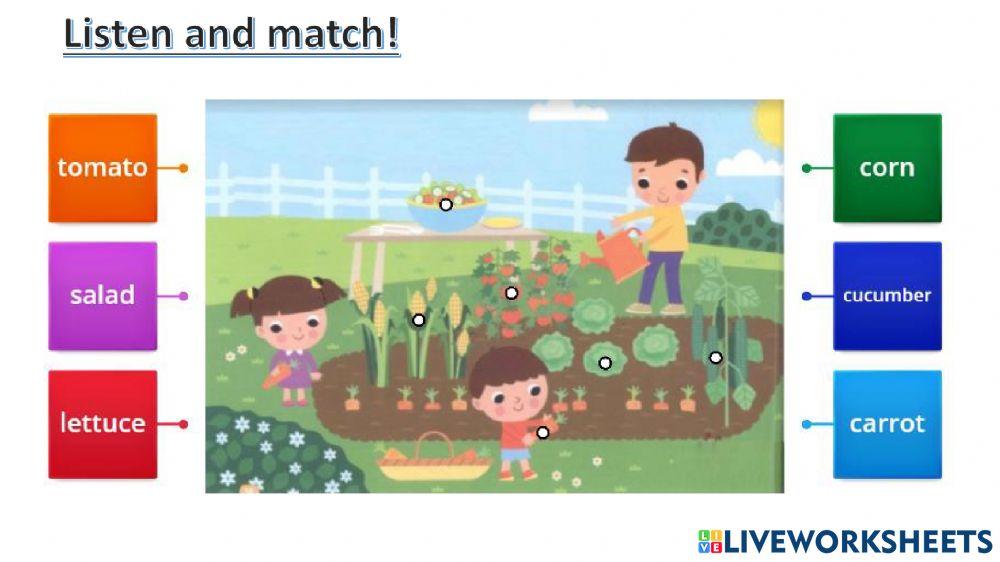 connect plus kg1 term1 unit4 p58