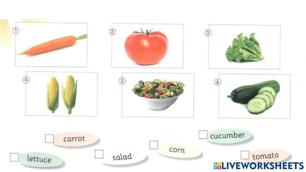 connect plus kg1 term1 unit4 p58