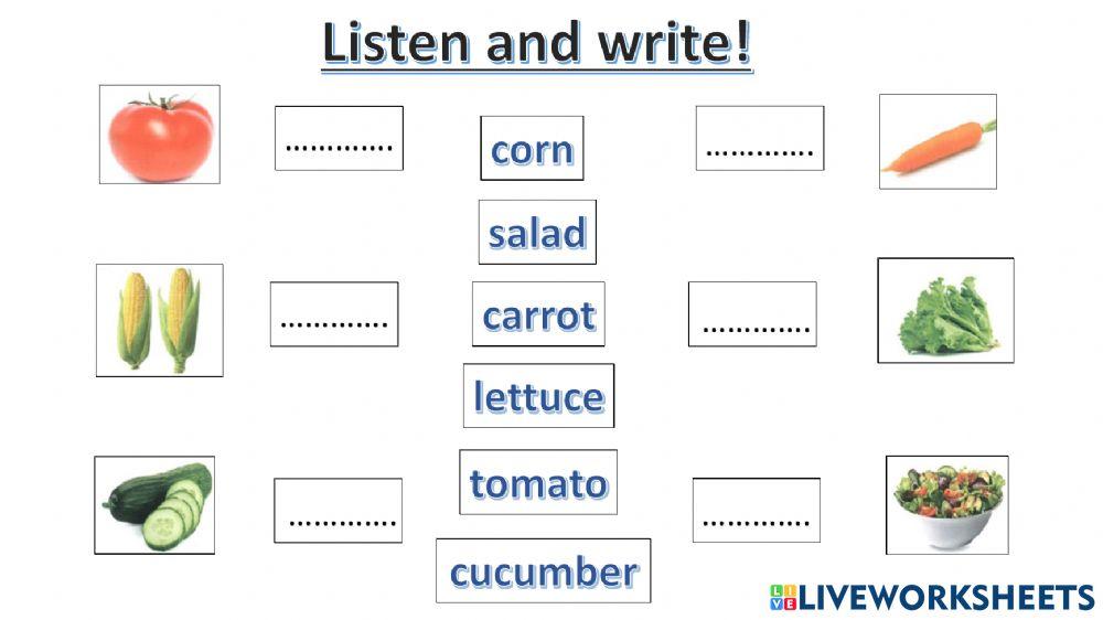 connect plus kg1 term1 unit4 p58
