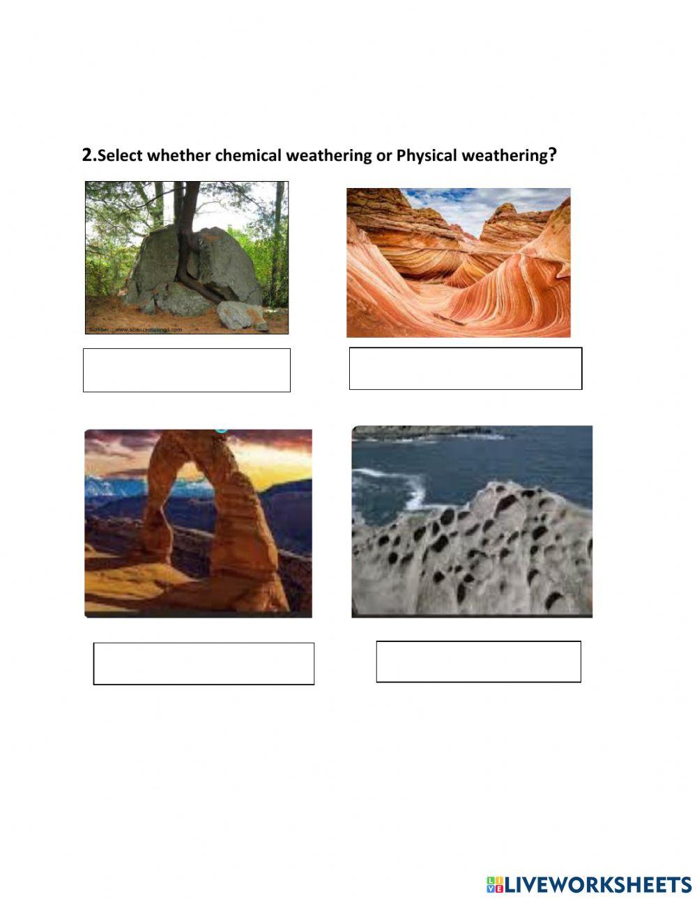 Science- Assignment 1 - Term1