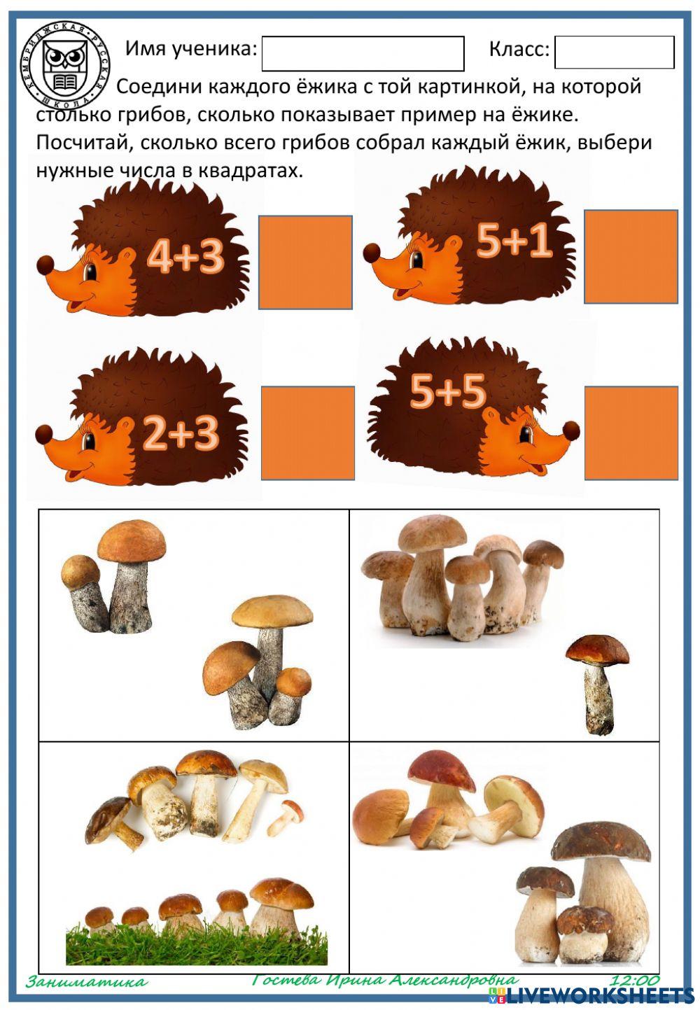 Ёжики и грибы