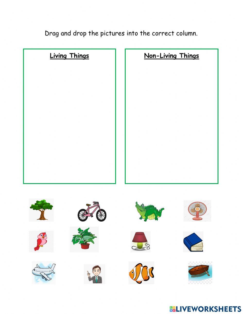 Living and Non Living Things