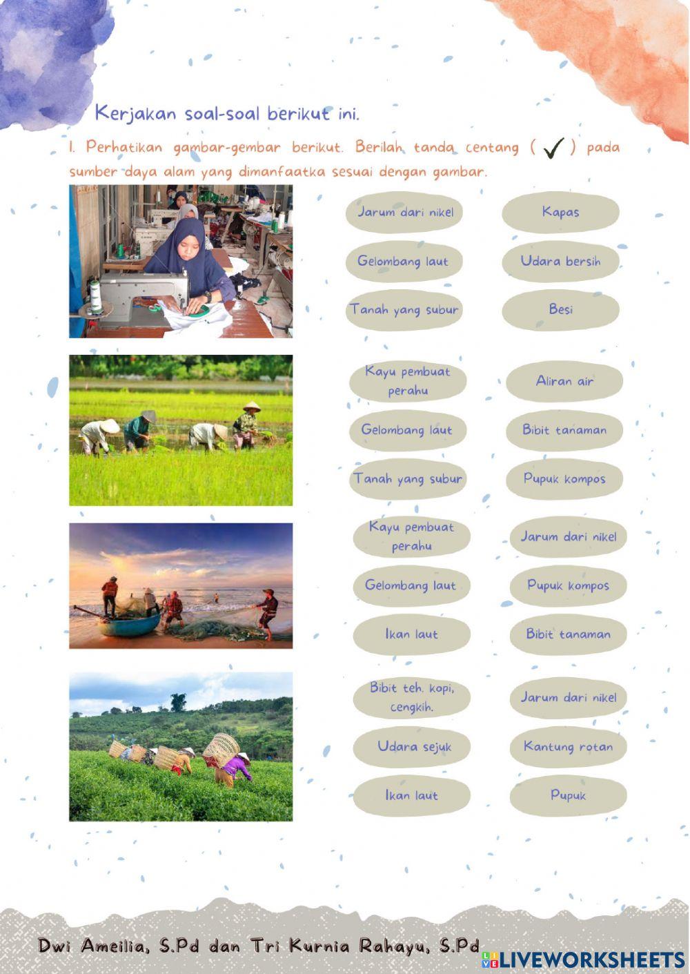 IPS : Jenis Pekerjaan sesuai Kenampakan Alam Sekitar