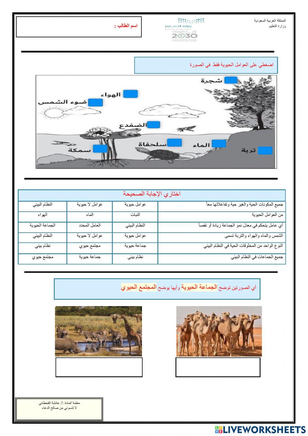 العلاقات في الأنظمة البيئية-1